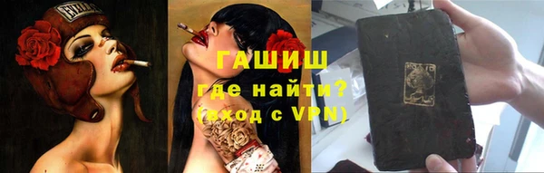 мдпв Ельня