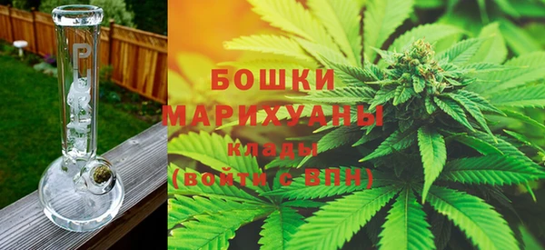 сатива Абинск