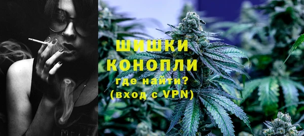 сатива Абинск