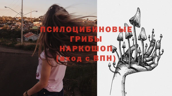 молекула духа Абаза