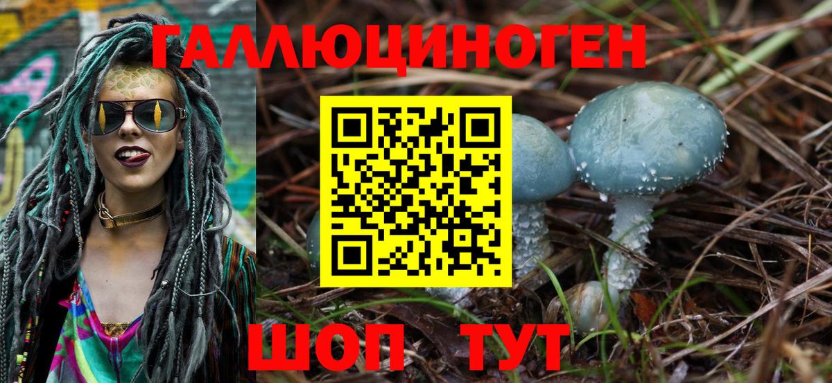 Златоуст  Псилоцибиновые грибы Psilocybe  Вход с VPN  Псилоцибиновые грибы Cubensis 