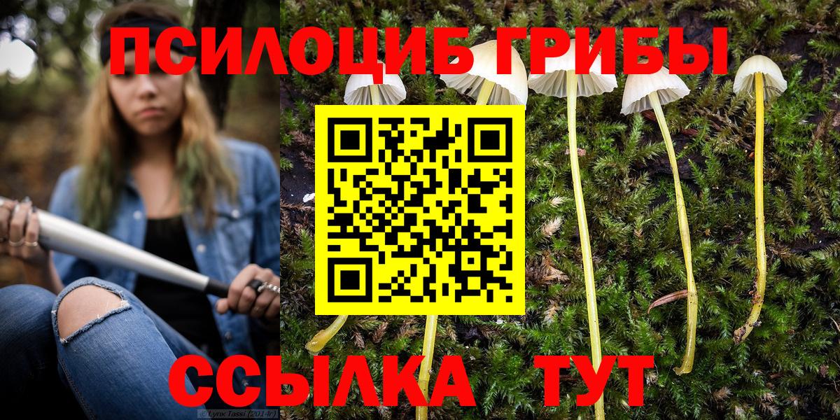 Псилоцибиновые грибы Psilocybine cubensis Златоуст