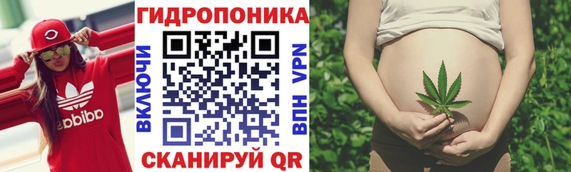 Шишки марихуана OG Kush Златоуст